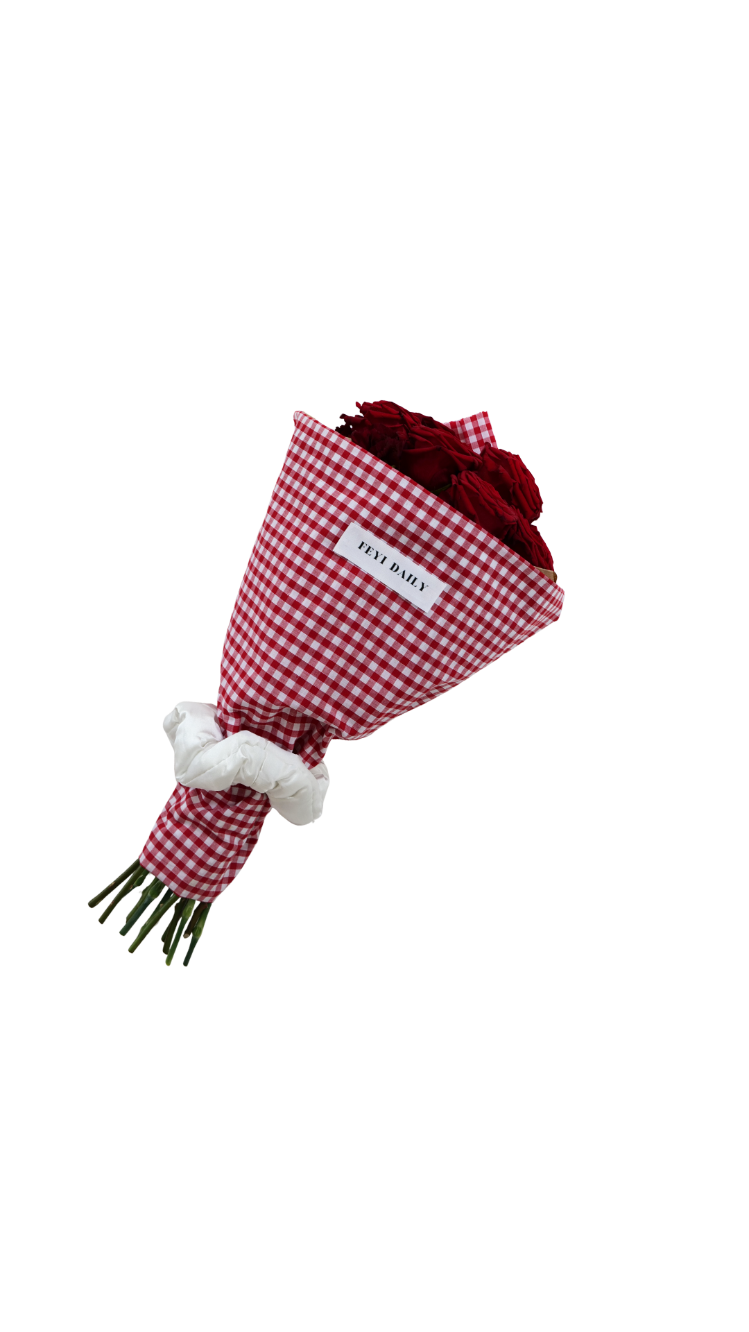 Red Gingham